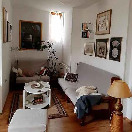 Lovely Bright With Backyard-renovated! Sremska Kamenica