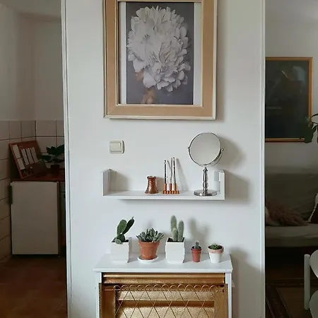 Lovely Bright With Backyard-renovated! Daire