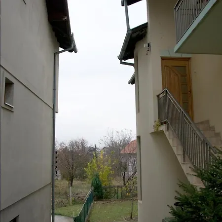 Lovely Bright With Backyard-renovated! Apartament