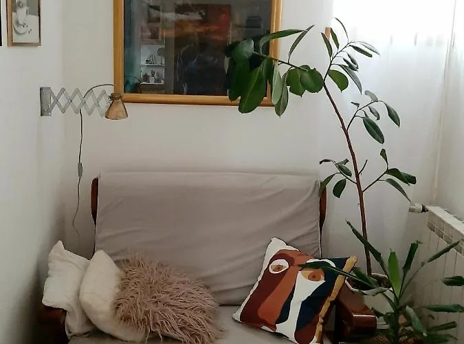 Lovely Bright With Backyard-renovated!