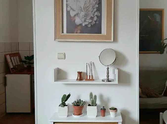 Lovely Bright With Backyard-renovated! アパート