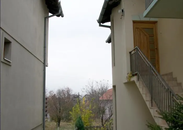 Lovely Bright With Backyard-renovated! Appartement